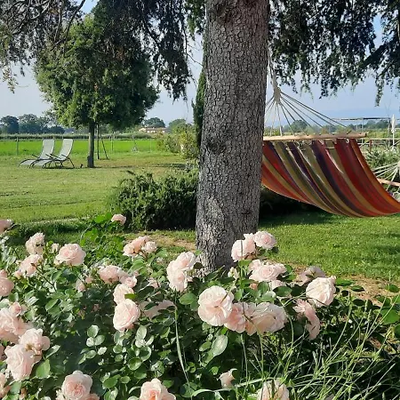 Casa di campagna Giotto Country House&spa *